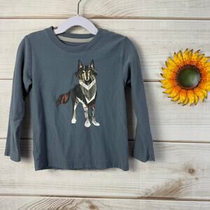 Tea Collection Boys Graphic T Shirt Long‎ Sleeve Top Size 3